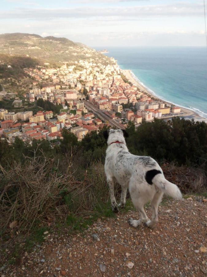 Frühstückspension Il Pozzo E Il Melograno Finale Ligure